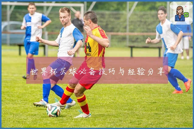 世界杯买球必备技巧与经验分享