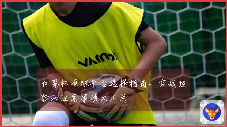 世界杯滚球平台选择指南，实战经验和注意事项大汇总