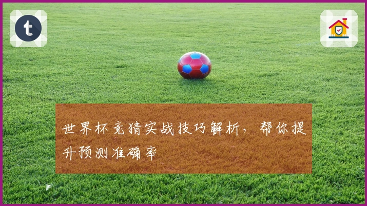 世界杯竞猜实战技巧解析，帮你提升预测准确率