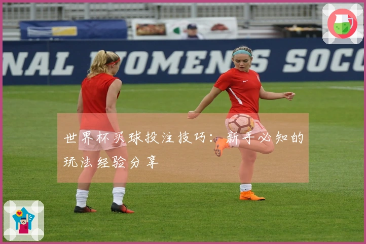 世界杯买球投注技巧：新手必知的玩法经验分享