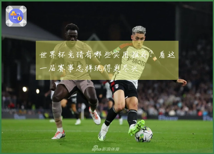 世界杯竞猜有哪些实用推荐？看这一届赛事怎样玩得更尽兴