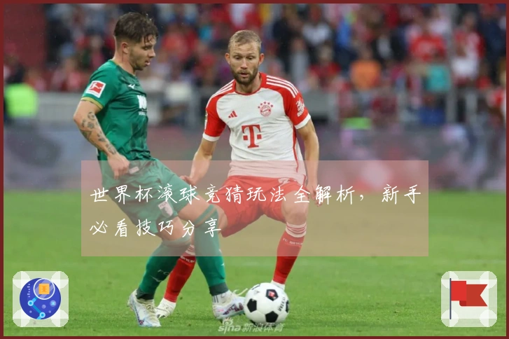 世界杯滚球竞猜玩法全解析，新手必看技巧分享