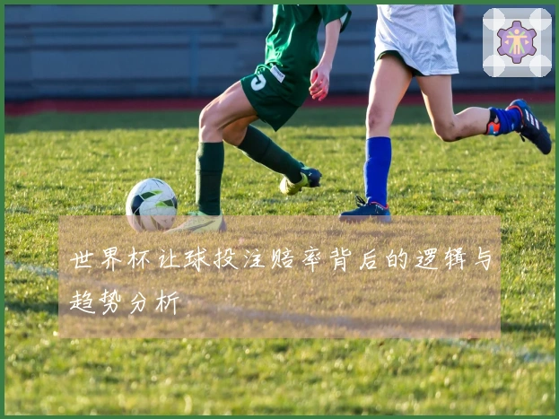 世界杯让球投注赔率背后的逻辑与趋势分析
