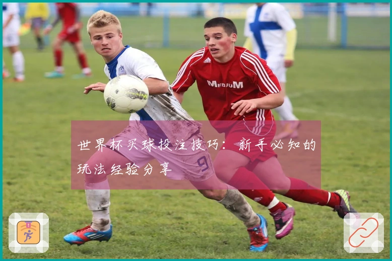 世界杯买球投注技巧：新手必知的玩法经验分享