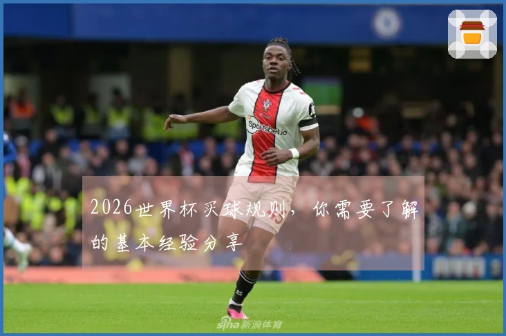 2026世界杯买球规则，你需要了解的基本经验分享