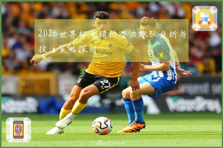 2026世界杯竞猜的潜力球队分析与投注策略探讨