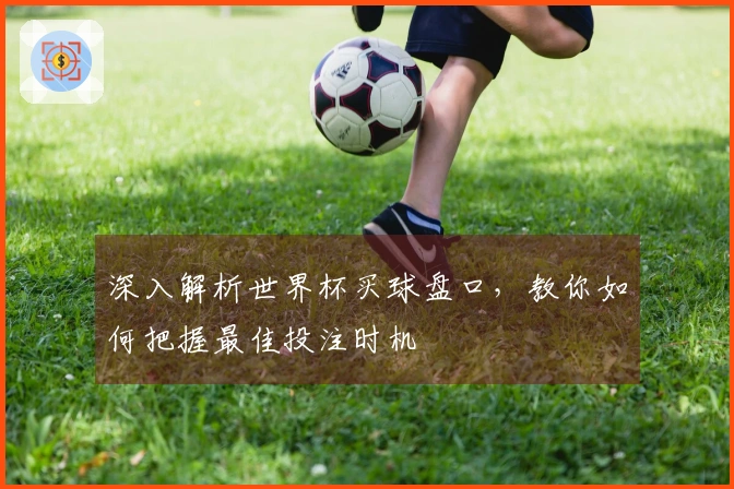 深入解析世界杯买球盘口，教你如何把握最佳投注时机