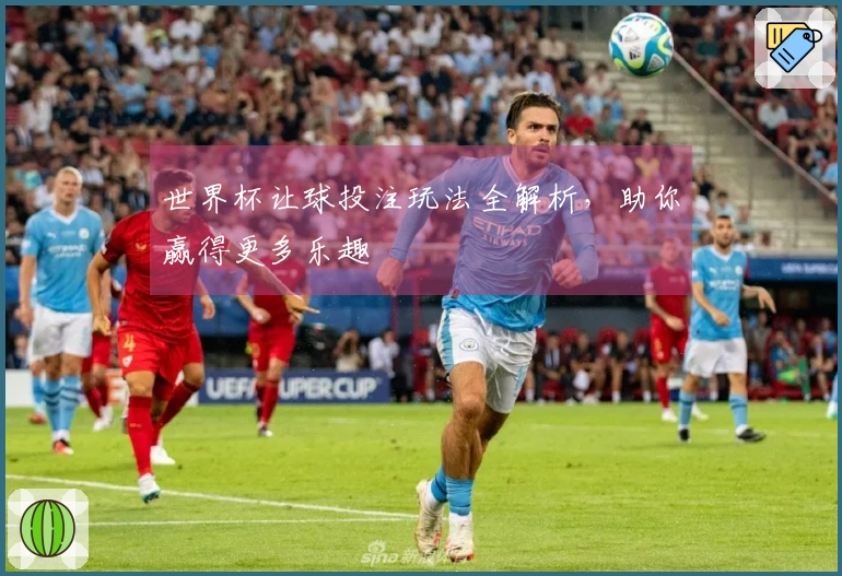 世界杯让球投注玩法全解析，助你赢得更多乐趣