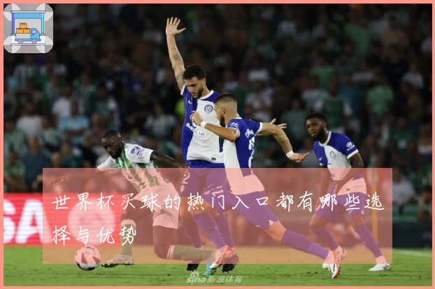 世界杯买球的热门入口都有哪些选择与优势