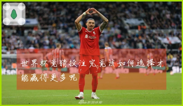 世界杯竞猜投注究竟该如何选择才能赢得更多呢