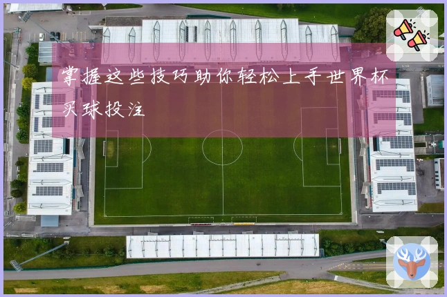 掌握这些技巧助你轻松上手世界杯买球投注
