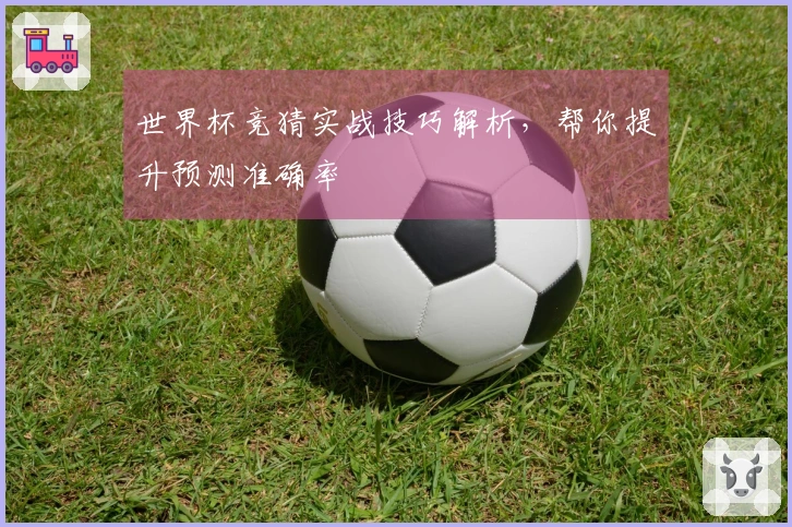 世界杯竞猜实战技巧解析，帮你提升预测准确率