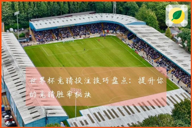世界杯竞猜投注技巧盘点：提升你的竞猜胜率秘诀