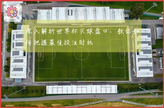 深入解析世界杯买球盘口，教你如何把握最佳投注时机