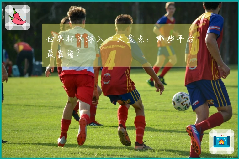 世界杯买球入口大盘点，哪些平台最靠谱？