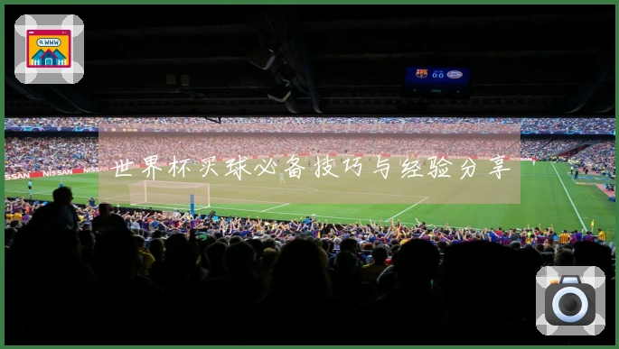 世界杯买球必备技巧与经验分享
